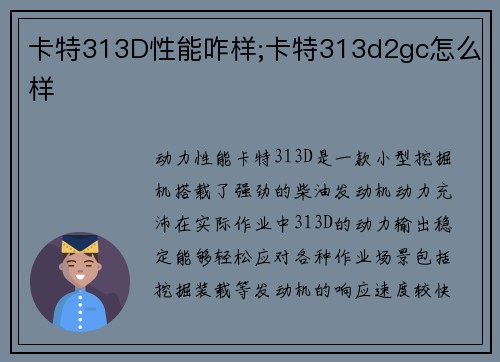 卡特313D性能咋样;卡特313d2gc怎么样